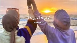 Na Dil hota na dil rota Urdu type capcut