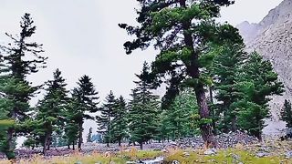 Nature and beautiful views
