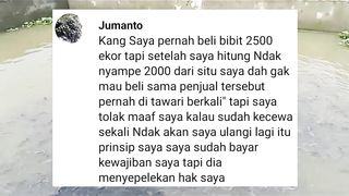 PEMULA Hati-hati beli bibit lele❗Hitung ulang jumlahnya, jangan seperti kejadian ini