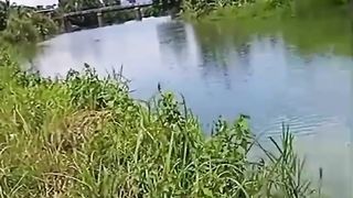 They 're getting fished out