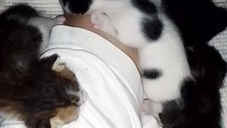 My 2 Weeks old kittens!! So cute.