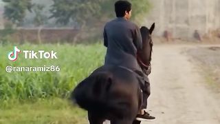 Best Punjabi shayari