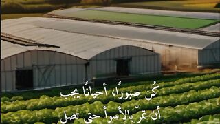 Arabic sound |  video and English subtitles