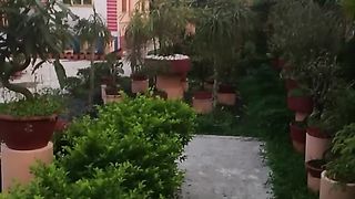 Beautiful Garden