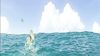 Animation Cartoon