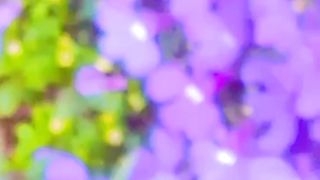 Nature are so lovely .many beautiful flowers
