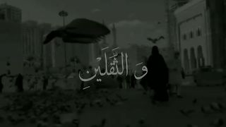 "Guidance from the Quran: Exploring Wisdom"# video #Dawat E #Deenikhidmat #Dark #