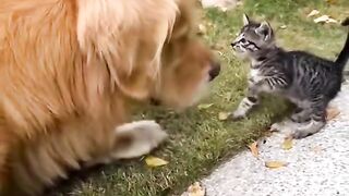 Big and smol