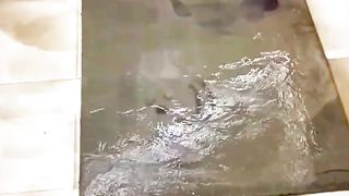 Carpet Wash