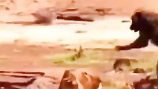 ????????????????