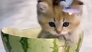 ازاي كده