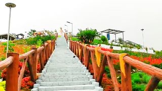 Journey Between Nature's Gallery, Where Every Step Paints a Canvas of Beauty