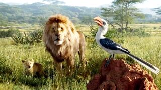 King of the Jungle (Simba) movie summary - suspense - 3D