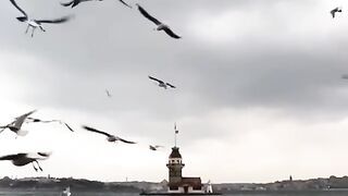 Beautiful views of Bosphorus Strait