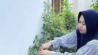 jos seger hobi berkebun tetap tersalurkan walau di lahan sempit dan terbatas.