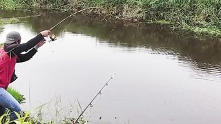 fishing for the fiercest predatory fish