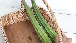 Kebun lahan sempit samping rumah id dari kebun yg tak seberapa ini bisa menanam berbagai macam sayuran