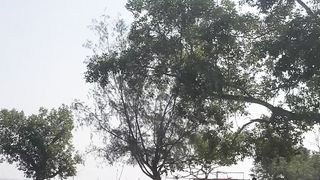 World Largest Mangrove Jungle Sundarban
