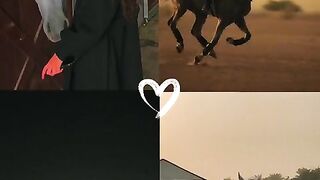 نادر_الشراري