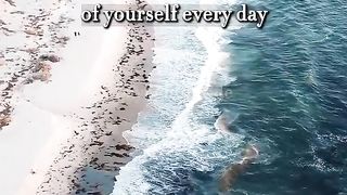 Be happy with what you have