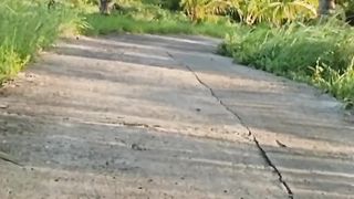 Munting paglalakbay.