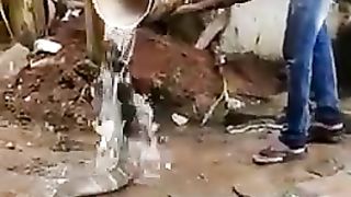 Man helps King Cobra cool down in the unbearable heat.