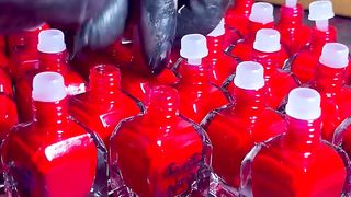 Lipstick ????????how to make lipstick ????