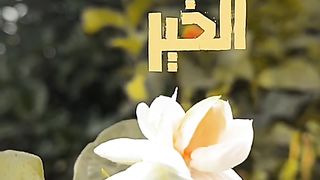 فيديو قصير