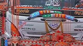 Pakistani truck beauty