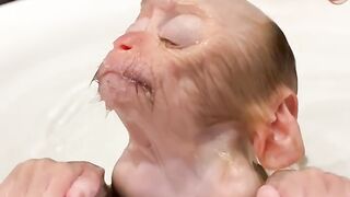 Monkey bathing part 2