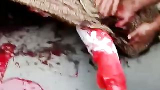 Rod accident part 2