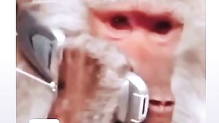 الحرب