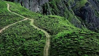 Green World(Come to Sri Lanka)