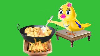 Bird video