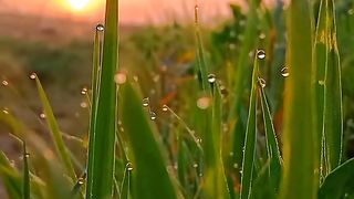 beautyfull nature #plezzsport #beautyfull #naturall #beauty #❤???? #swezrland #amazing #beauty #viral