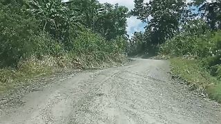 Highway cruise