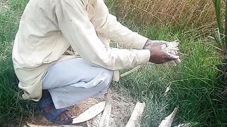 Gift of Khairpur Mira's of Sindh is being given male