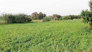 Farming video