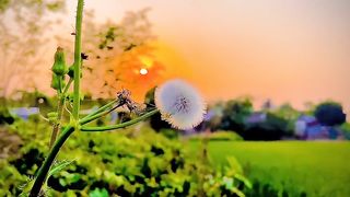 একবার যদি তওবা করে ফিরে আসি