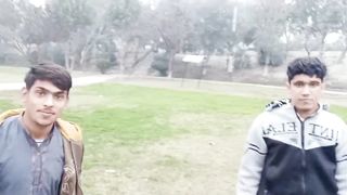 What did we see in the park????????