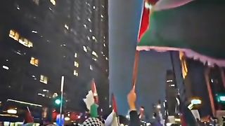 Free Palestine