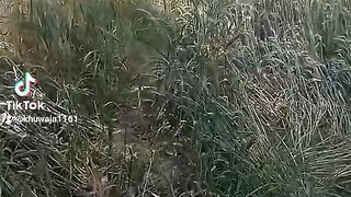 Funny video And for more videos on this link https://www.febspot.com/ref/686028