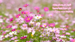 اللهم صل وسلم وبارك على سيدنا ونبينا محمد