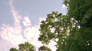 cinematic natures ,???????????? #short#viral#shortvideos