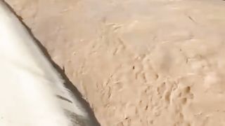 Animal Help vedio