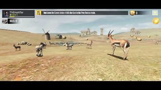 Animal hunting game