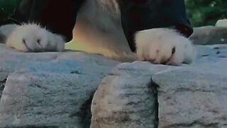 Funny vedios reels instagram