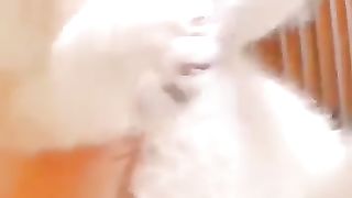 my sweet cat, cute cat, cat