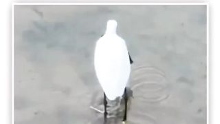দেখুন সবার মন মানসিকতা সমান হয় না।