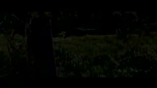 Welcome_3_-_To_The_Jungle___Trailer___Akshay_Kumar___Sunjay_D,_Sunil_S,_Disha_P,_Raveena,_Paresh_R.(360p).